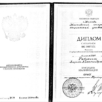 Диплом - Васильева Лариса Александровна