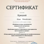 Сертификат - Крицкий Илья Михайлович