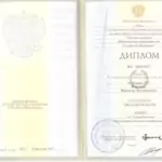 Диплом: Омская академия Министерства внутренних дел Российской Федерации, 2007 — Морозов М.В.