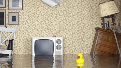 Нанесен ущерб? Кто и за что отвечает в многоквартирном доме