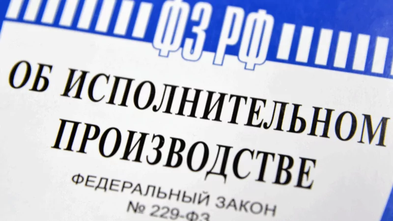 Адвокат Никулин Дмитрий Александрович объясняет: Приостановка исполнительного производства