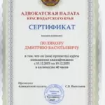 Сертификат Поляков Д.В. от 19.12.25 - Поляков Дмитрий Васильевич