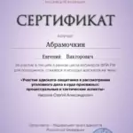 Сертификат - Абрамочкин Евгений Викторович