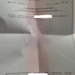 Исполнительный лист - Павлов Андрей Денисович