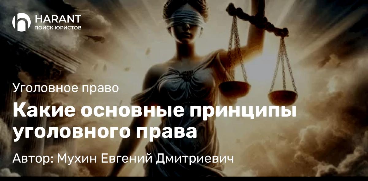 Адвокат Мухин Евгений Дмитриевич объясняет: Какие основные принципы уголовного права