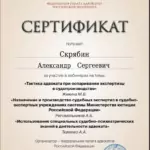Сертификат - Скрябин Александр Сергеевич