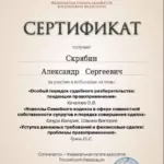 Сертификат 2 - Скрябин Александр Сергеевич