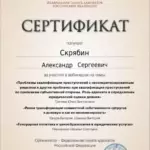 Сертификат 3 - Скрябин Александр Сергеевич