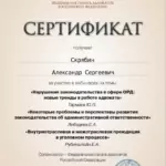 Сертификат 6 - Скрябин Александр Сергеевич