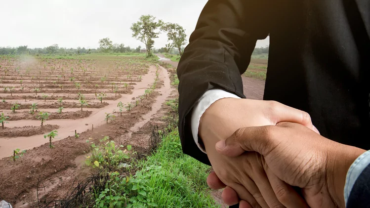 Юрист Чайковский Александр Васильевич объясняет: Юрист по земельным спорам: Когда без специалиста не обойтись