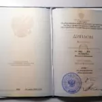 Диплом - Меснянкина Василиса Николаевна