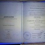 Диплом 2 - Меснянкина Василиса Николаевна