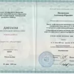 диплом бизнес школа - Питниченко Александр Юрьевич