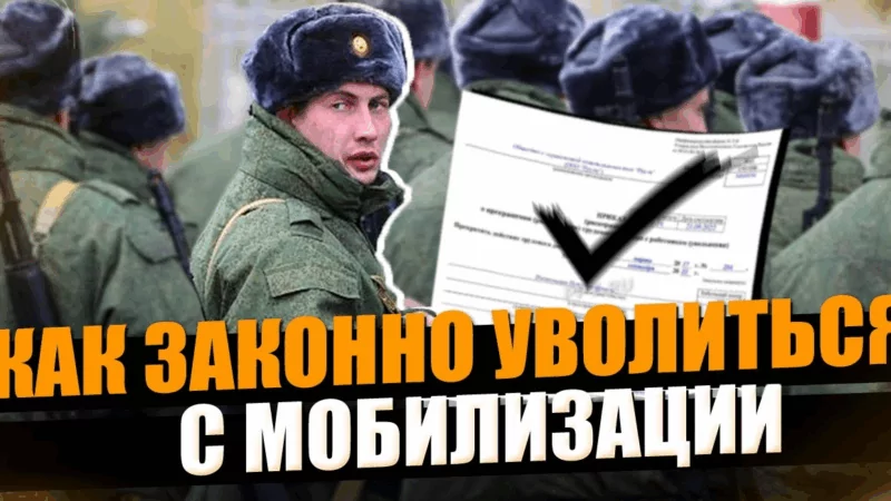 Юрист Нестерова Жанна Валерьевна объясняет: Досрочная демобилизация: как законно вернуться домой