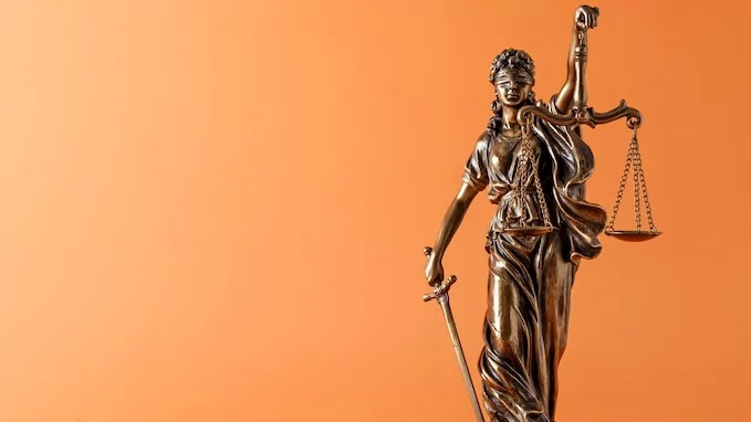 Юрист Мельник Юлия Игоревна объясняет: Роль арбитражного управляющего в процедуре банкротства физического лица