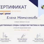 Диплом курс ИСС - Метелькова Елена Николаевна
