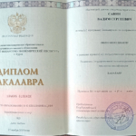 Диплом: Региональный финансово-экономический институт, 2015 — Савин В.С.