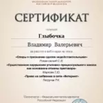 Нарушение УПК и отмена приговора 17.02.2023 - Глыбочка Владимир Валерьевич