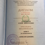 Диплом - Метелькова Елена Николаевна