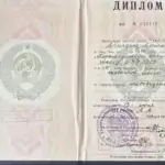 Диплом: Высшая школа милиции, 1991 — Шток А.А.