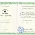 Декабрь 2024 - Шамарданова Елена Сергеевна