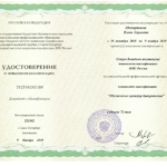 Удостоверение 2 - Шамарданова Елена Сергеевна