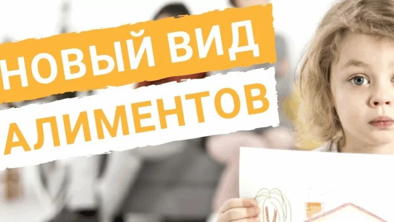 Юрист Чайковский Александр Васильевич объясняет: Жилищные алименты: когда платят не только на еду, но и на крышу над головой