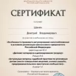 повышение квалификации 11 - Шанин Дмитрий Владимирович