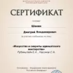 повышене квалификации 13 - Шанин Дмитрий Владимирович