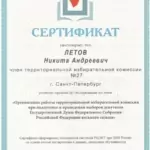 Сертификат - Летов Никита Андреевич