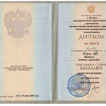 Диплом: Тюменский государственный университет, 2009 — Фатеев А.С.