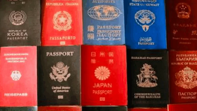 Адвокат Колонтай Дмитрий Владимирович объясняет: Уголовная ответственность за двойное гражданство в РФ