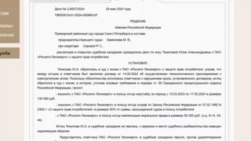 Выиграл дело в суде СПб, обязал ПАО Россети осуществить подключение электричество к участку