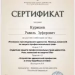 Сертификат - Курмаев Равиль Зуфярович