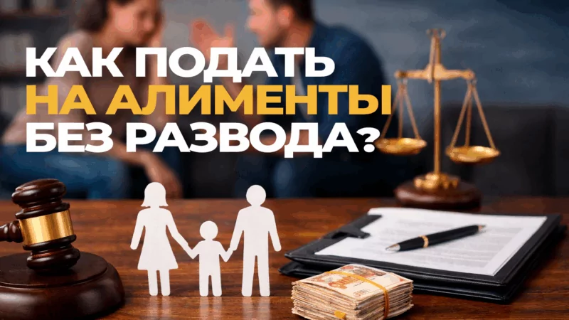 Юрист Воропаев Дмитрий Александрович объясняет: Как подать на алименты без развода