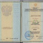 Диплом - Дорофеева Юлия Николаевна