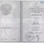 Диплом: Челябинский государственный педагогический университет, 2008 — Ефимова Е.И.