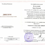 Диплом - Волколупова Лариса Олеговна