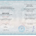 диплом - Волколупова Лариса Олеговна