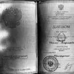 Диплом: Красноярский государственный аграрный университет, 2009 — Чернова С.В.