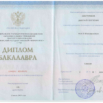 Диплом: Башкирский государственный университет, 2019 — Шестериков Д.С.