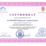 Сертификат  2 - Кузьмин Виталий Анатольевич