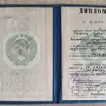 Диплом: Южный федеральный университет, 1990 — Сираджев Р.М.