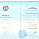 Диплом о переподготовке - Кузьмин Виталий Анатольевич