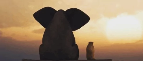 Нулевой пациент