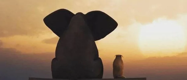 Юрист Мошкин Алексей Александрович объясняет: Нулевой пациент