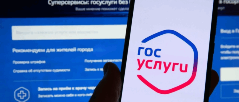 Юрист Хаулин Андрей Анатольевич объясняет: Неприкосновенный минимум: как его установить на «Госуслугах»