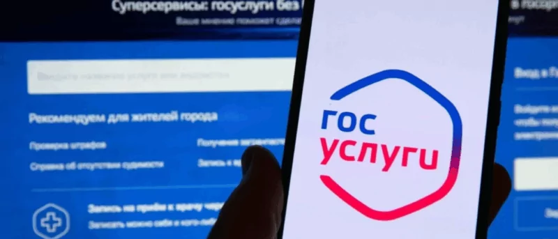 Юрист Хаулин Андрей Анатольевич объясняет: Неприкосновенный минимум: как его установить на «Госуслугах»