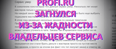 Profi.ru: Удобный посредник или «тёмная лошадка»? Почему площадка вызывает шквал возмущения