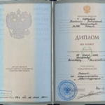 Диплом - Ерофеев Виктор Валерьевич